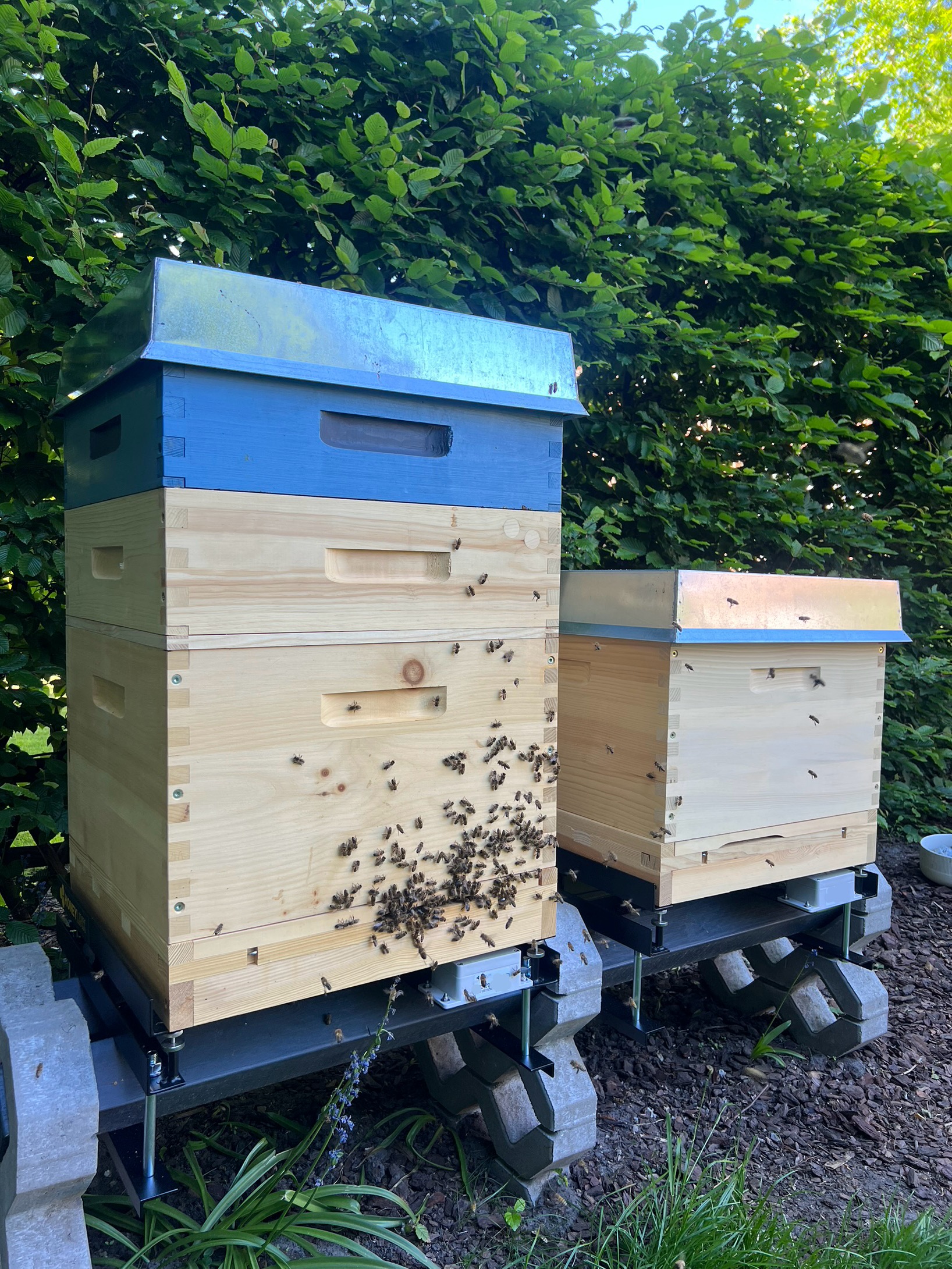 Bienenstock in den Gärten Hochkamps